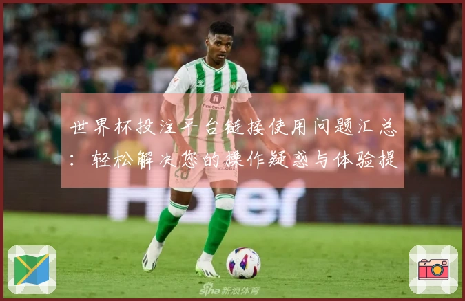 世界杯投注平台链接使用问题汇总：轻松解决您的操作疑惑与体验提升技巧