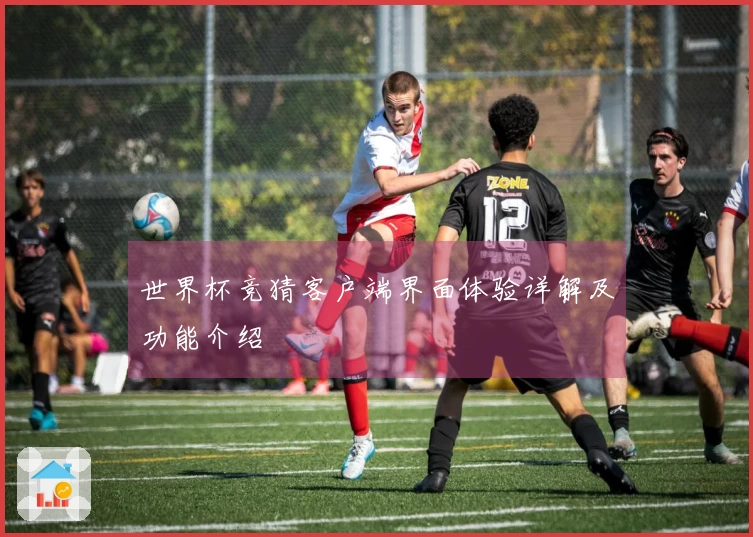 世界杯竞猜客户端界面体验详解及功能介绍