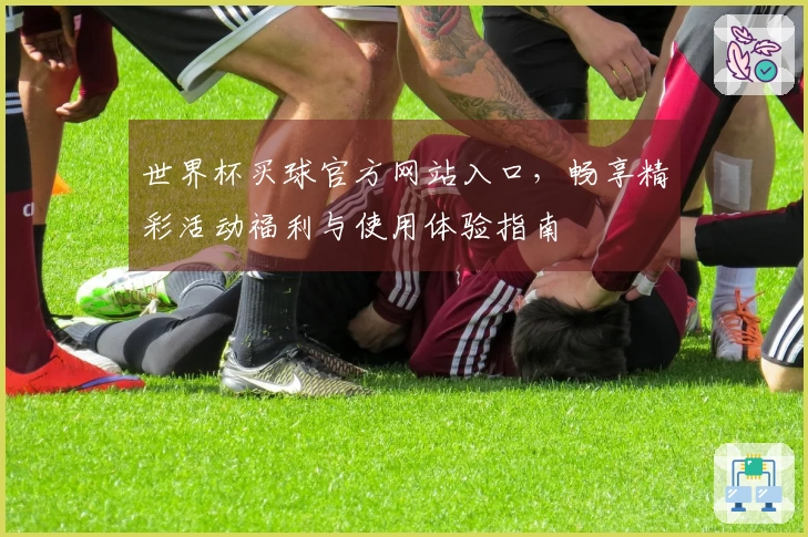 世界杯买球官方网站入口，畅享精彩活动福利与使用体验指南