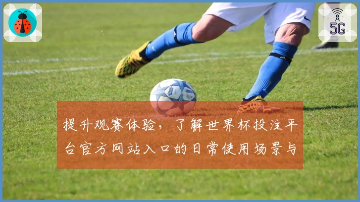 提升观赛体验，了解世界杯投注平台官方网站入口的日常使用场景与功能推荐