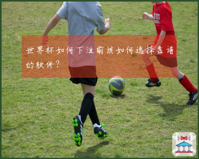 世界杯如何下注前该如何选择靠谱的软件？
