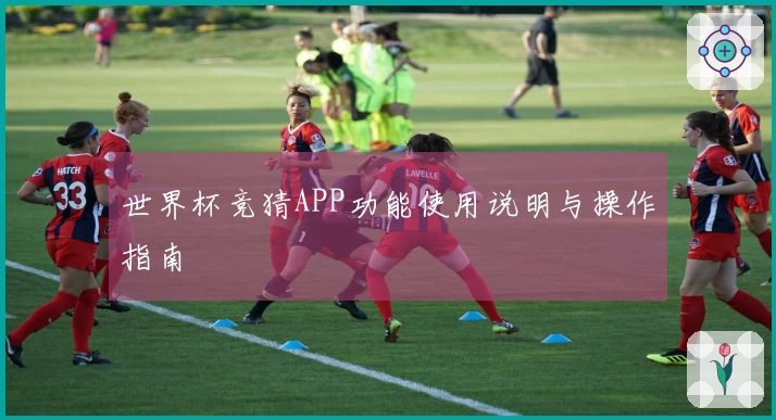 世界杯竞猜APP功能使用说明与操作指南