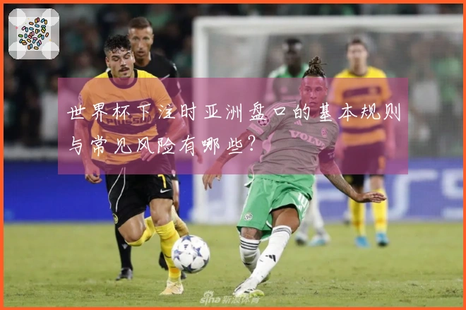世界杯下注时亚洲盘口的基本规则与常见风险有哪些？