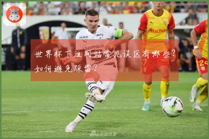 世界杯下注网站常见误区有哪些？如何避免踩雷？