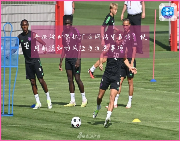手机端世界杯下注网站可靠吗？使用前须知的风险与注意事项