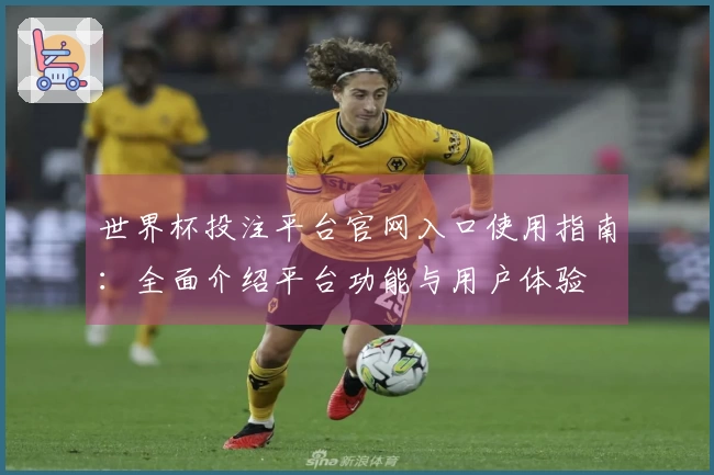 世界杯投注平台官网入口使用指南：全面介绍平台功能与用户体验